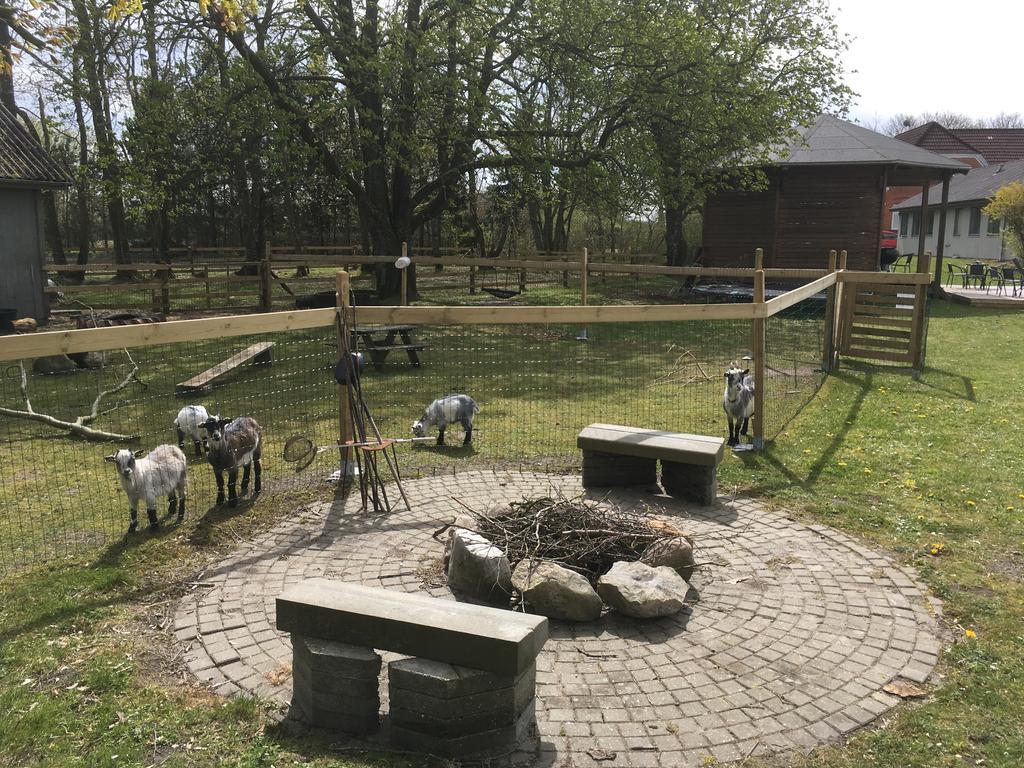 Hestkaer Family Rooms Summer Camp Krogager Экстерьер фото