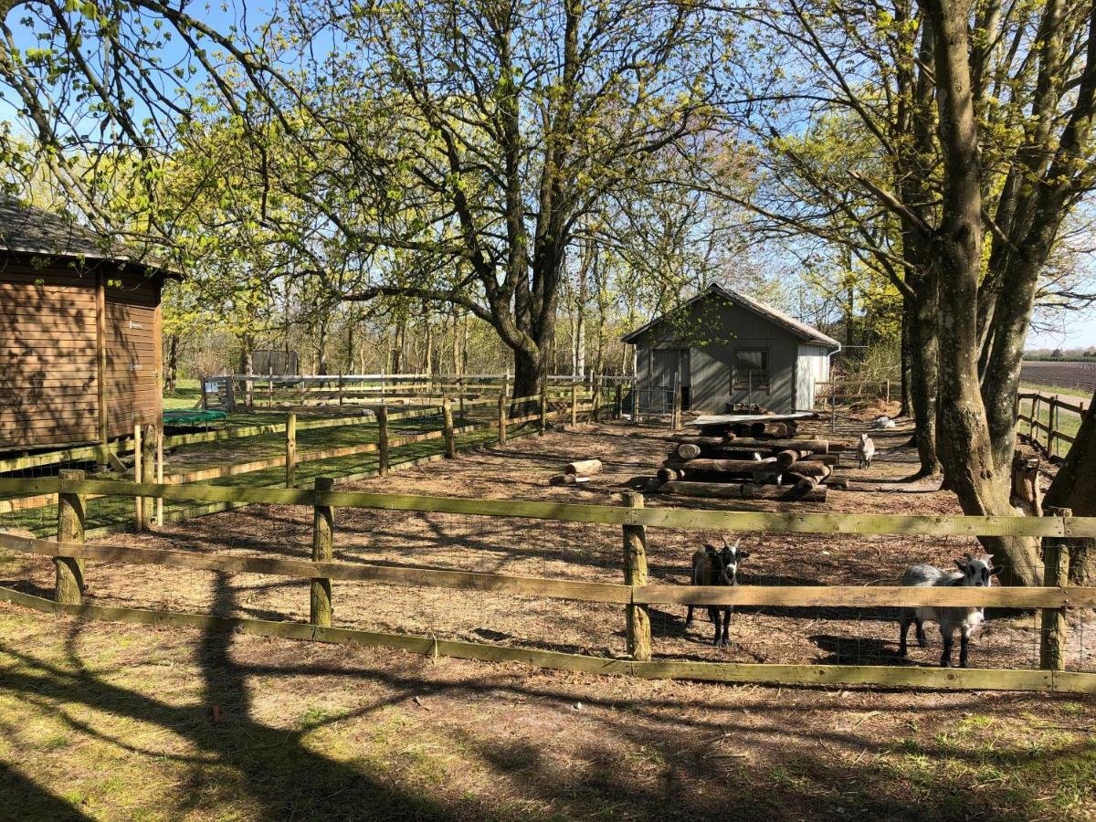 Hestkaer Family Rooms Summer Camp Krogager Экстерьер фото